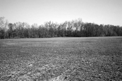 Property photo 7 - 641 Acres Offered in 16 Tracts - 545 Cropland Acres